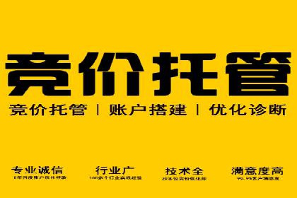 竞价推广实战案例：揭秘优化策略